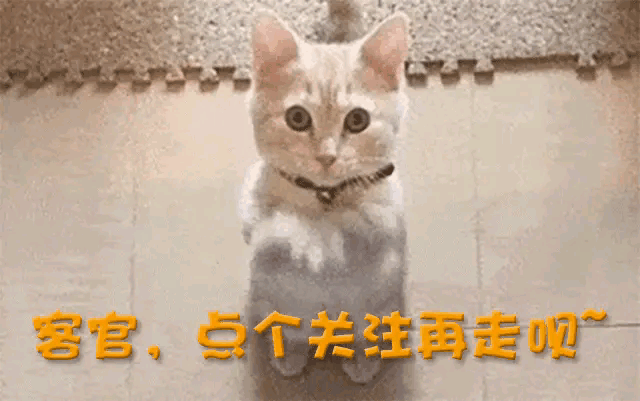 赵丽颖紧急送医事件_近日明星重大热点事件,_赵丽颖冯绍峰感情走向